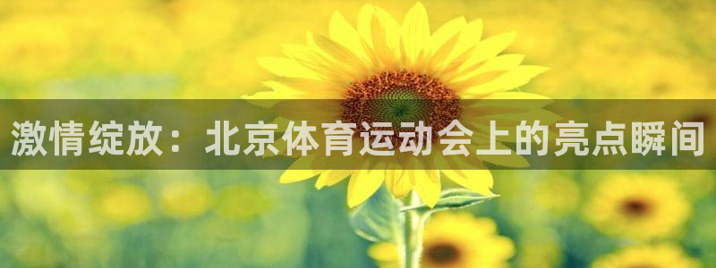 米兰体育官网下载招商电话号码是多少号:激情绽放:北京体育运动