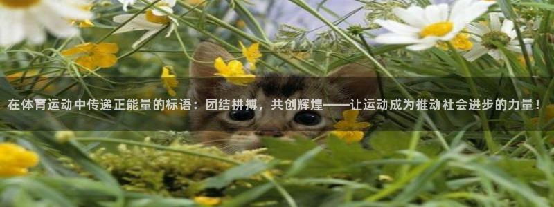 米兰体育官方正版app新能源:在体育运动中传递正能量的标语: