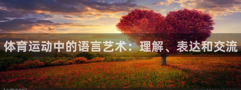 德国米兰体育官方正版app集团:体育运动中的语言艺术:理解、